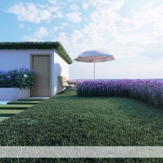 Professional Landscaping Design Services in Bangladesh